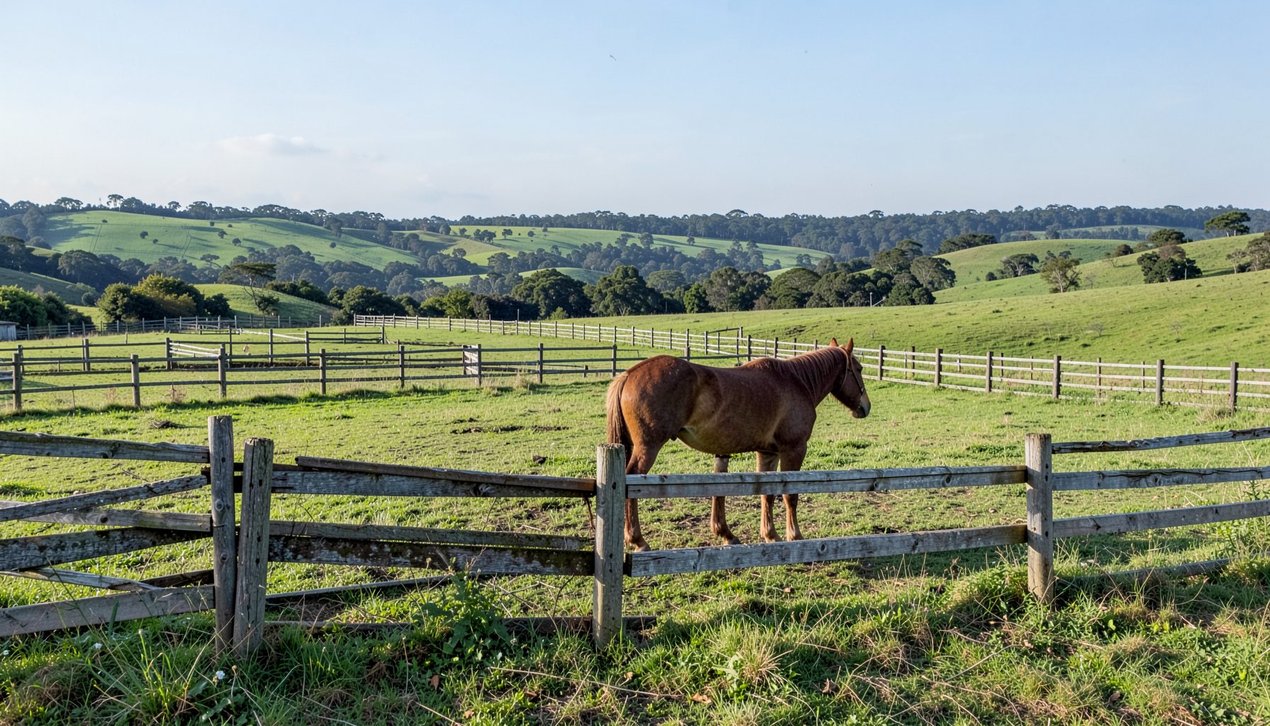 A horse camp setting with split-rail fencing and open grassy paddocks, rolling green hills stretching toward a distant treeline under a soft blue sky